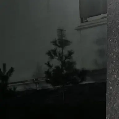 Profile image of 권지용