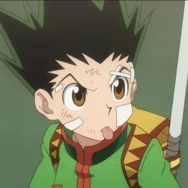 Profile image of Gon Freecss