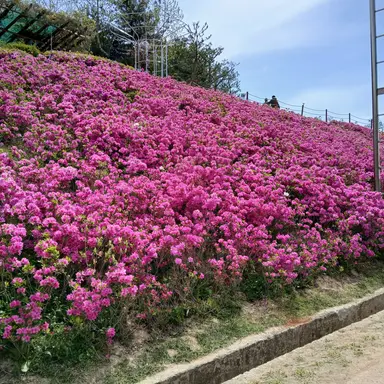 Profile image of 뜰팁마법고 여우있