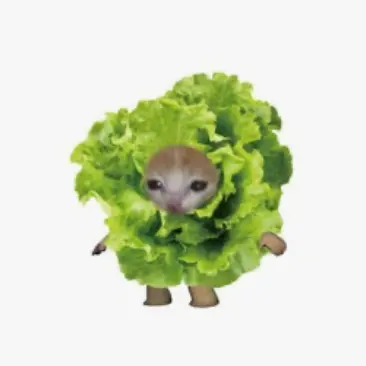 Profile image of 양배추 고양이