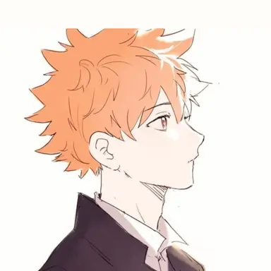 Profile image of 日向 翔陽