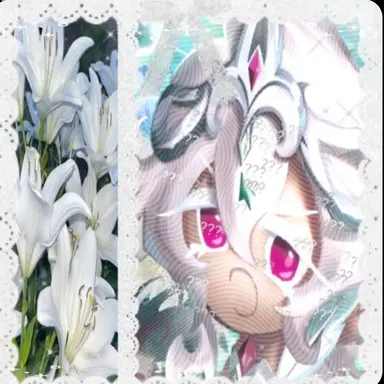 Profile image of White Lily
