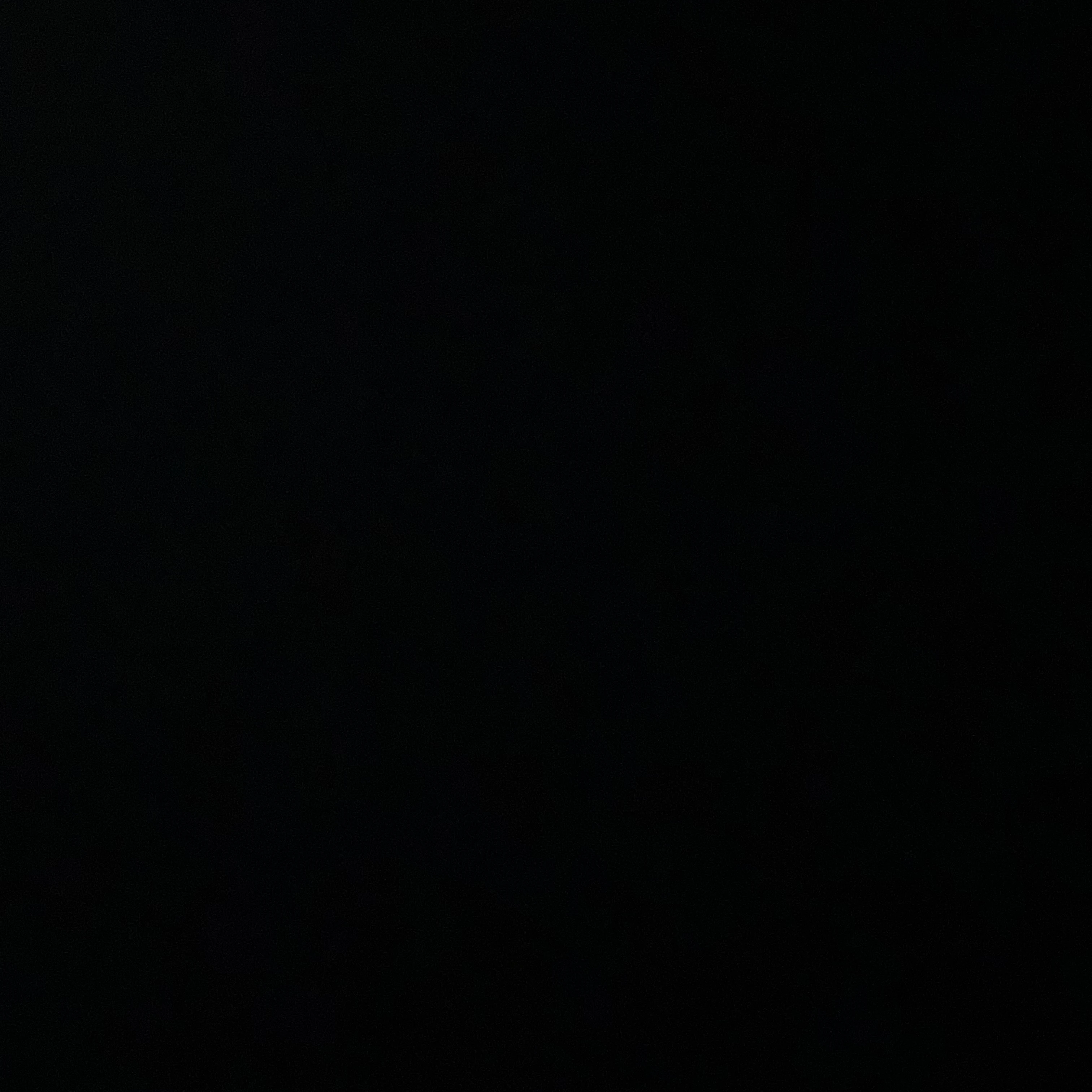 김동현