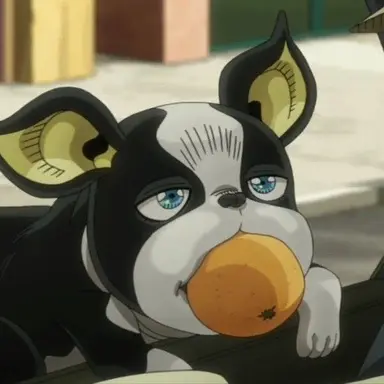 Profile image of Iggy