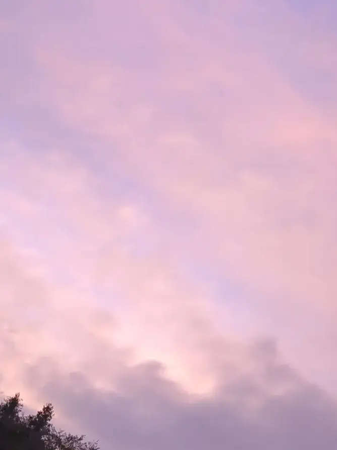 CannyFox9610의 雨音と二人だけの秘密