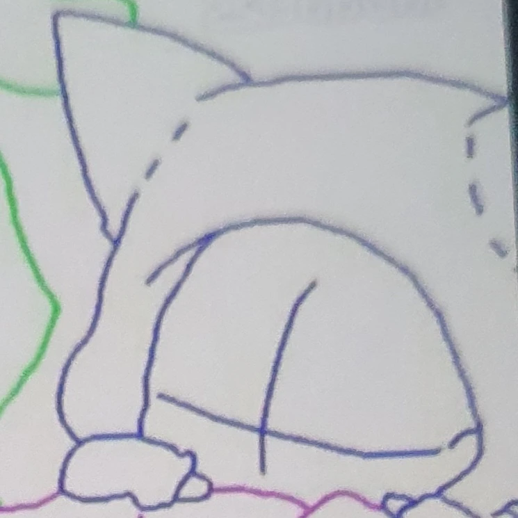 벨키