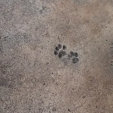 Profile image of 이경민