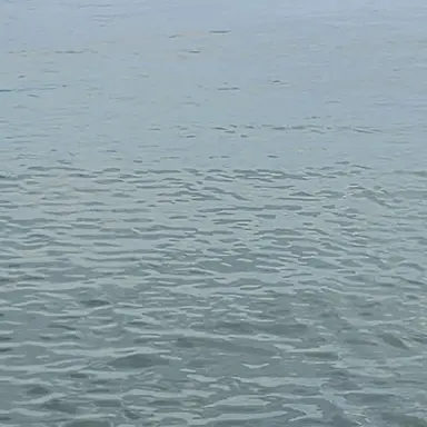 Profile image of 준희