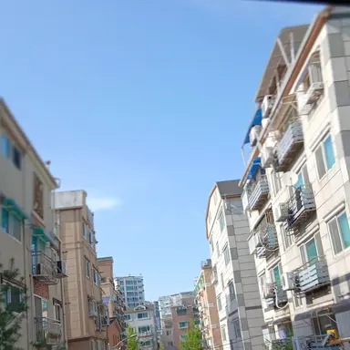 Profile image of 미술
