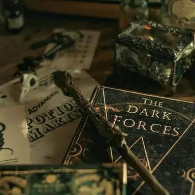 Profile image of 드레이코