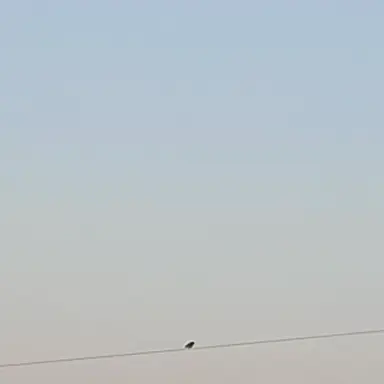 Profile image of 소라