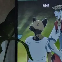 Profile image of 미구노