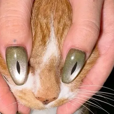 Profile image of 여우