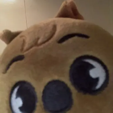 Profile image of 한지성