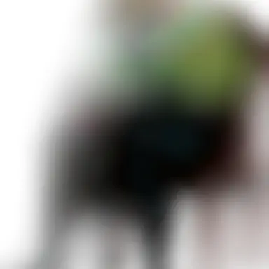 Profile image of 죠고