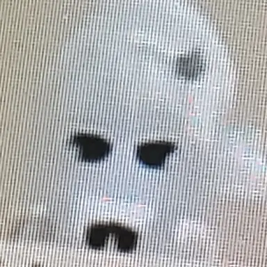 Profile image of 유이