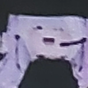 료미