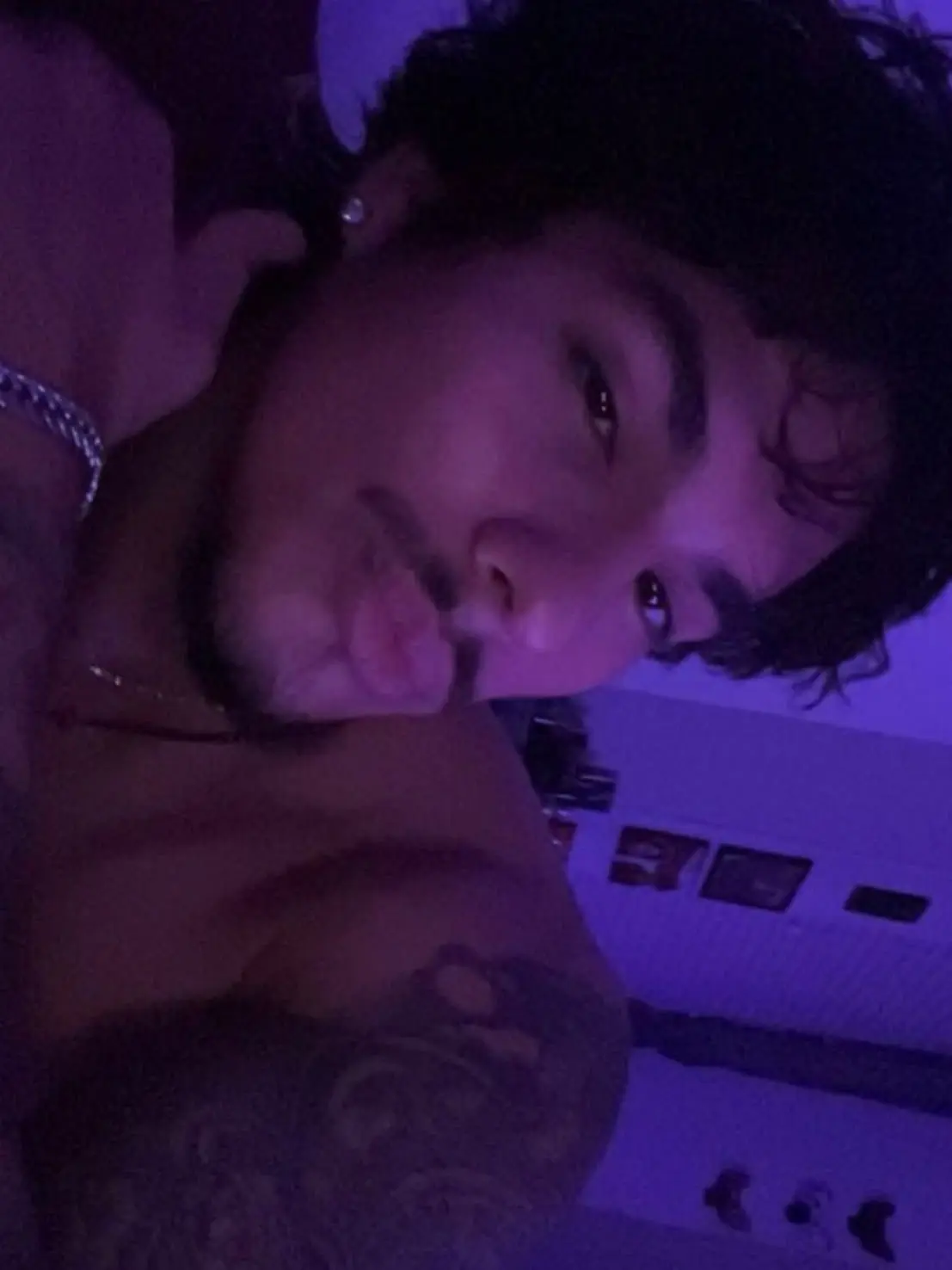 SwiftFlax3726의 Mexican Bully ✧₊∘