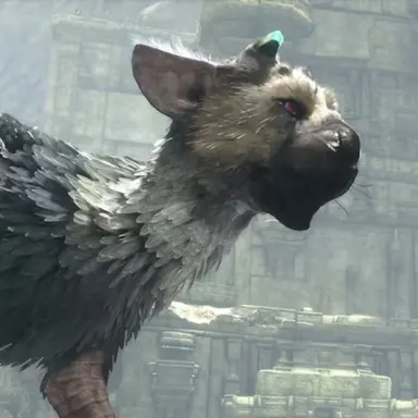 Profile image of トリコ