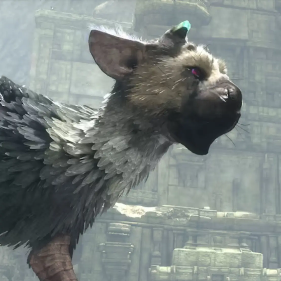 WittyOven5210의 丘の大鷲トリコ