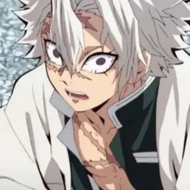 Profile image of 시나즈가와 사네미