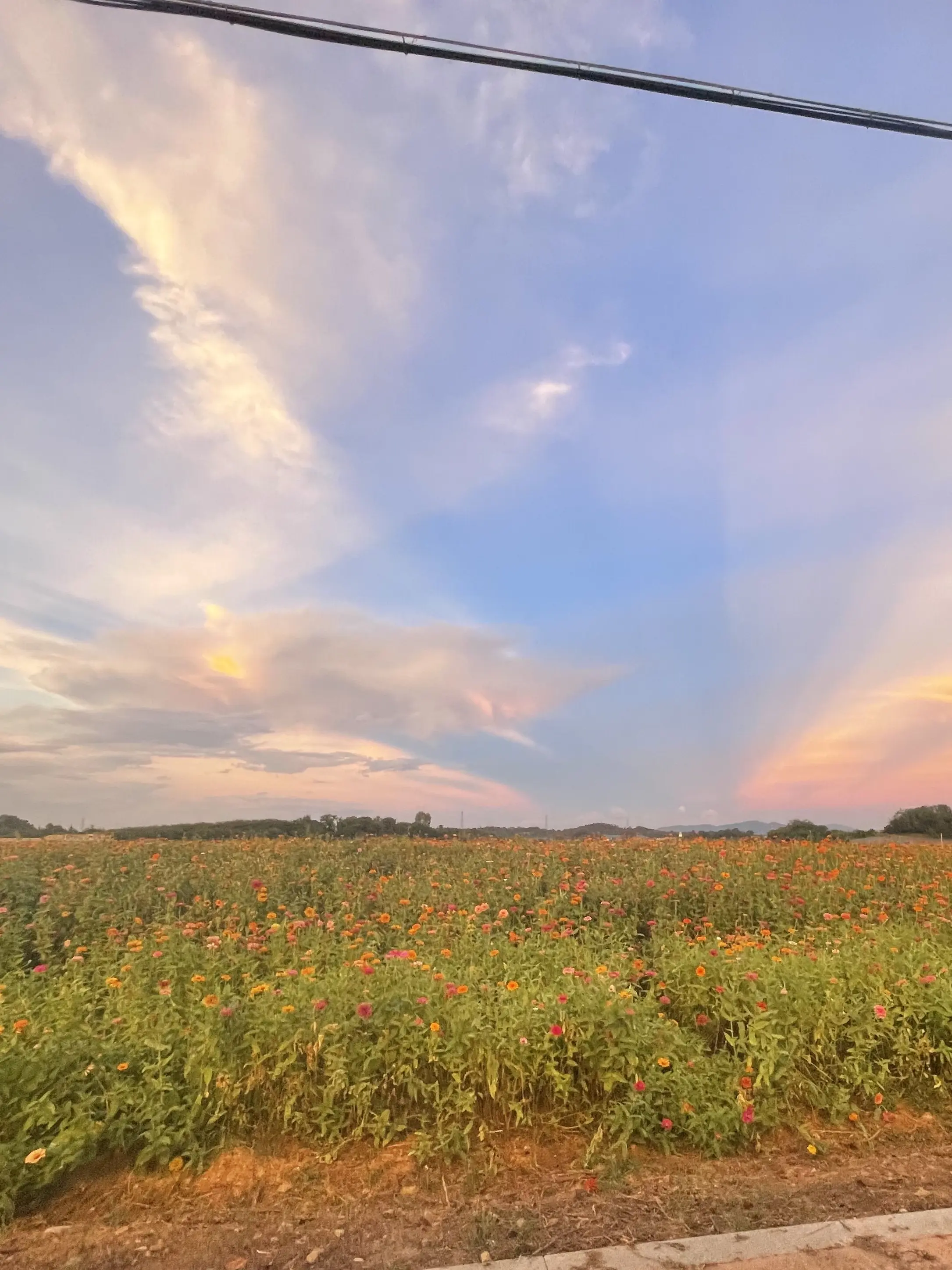 UniqueNoise2881의 밤의 계곡