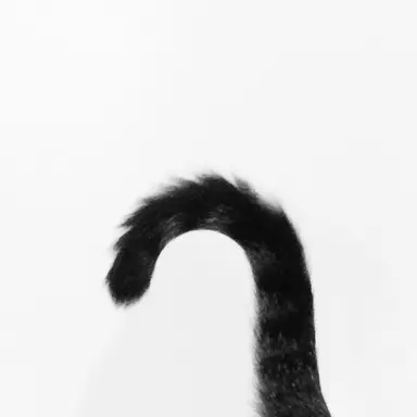 Profile image of 권지용