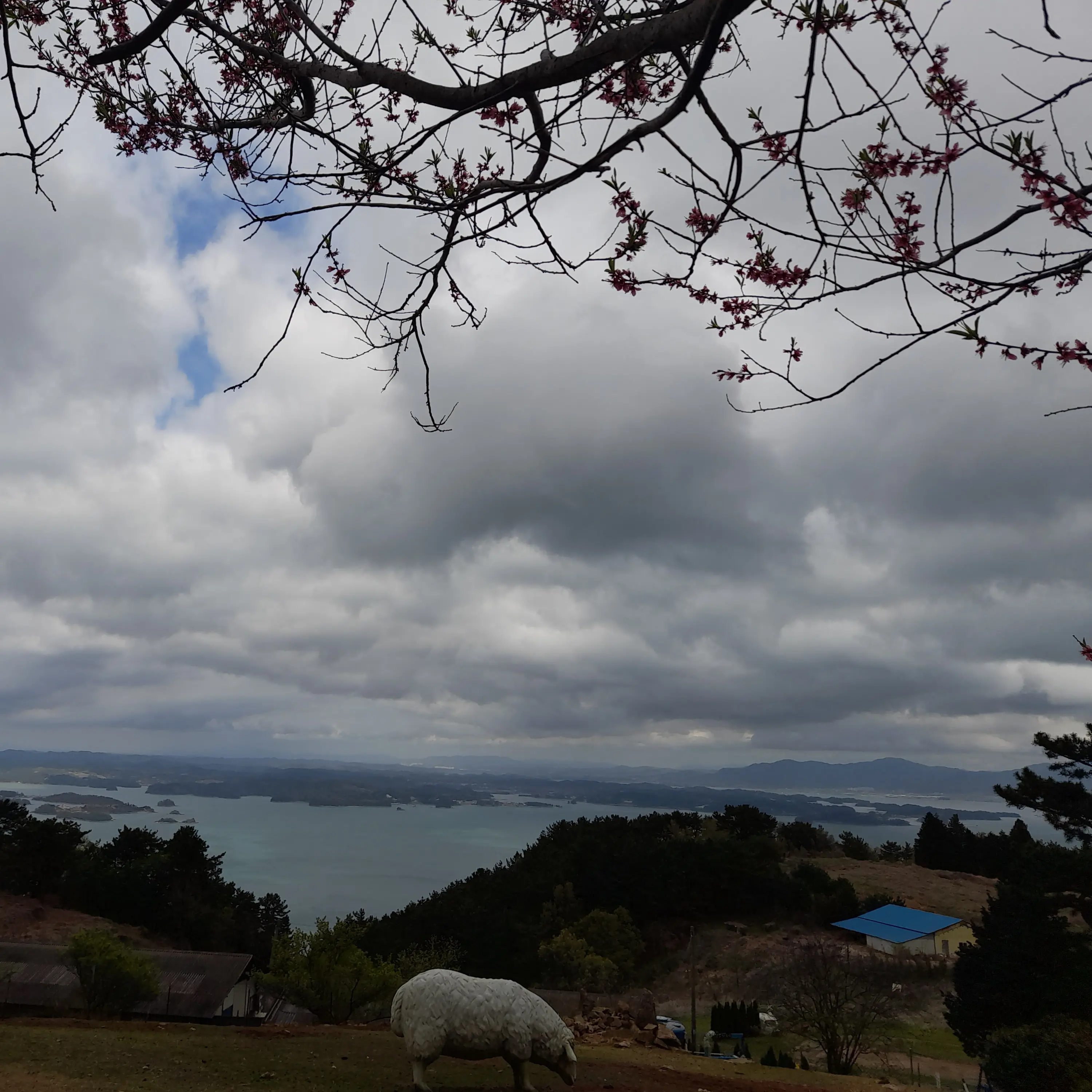 UglySwine0594의 최//연//준//