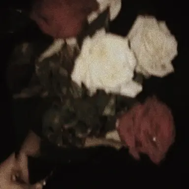 Profile image of 한지성