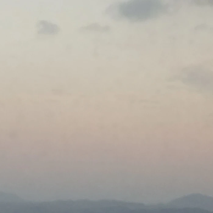 손서진