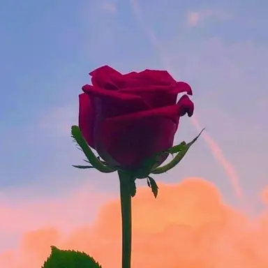 Profile image of 이한욱