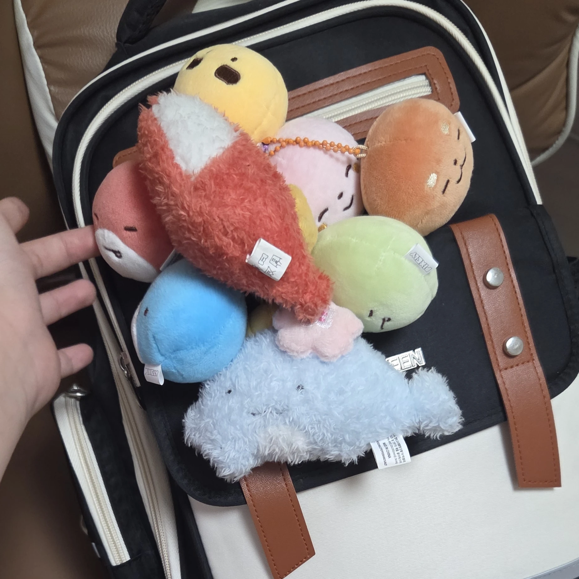 바다픽셀리