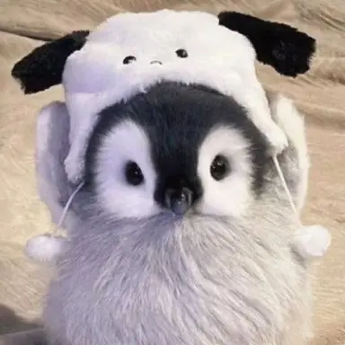 Profile image of 펭펭이