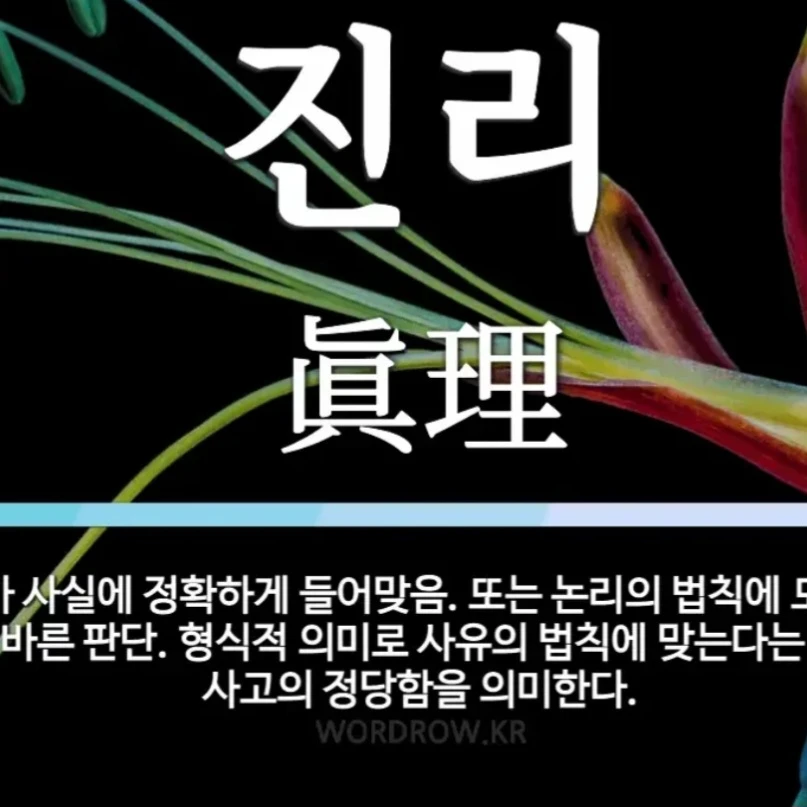 퓨어바닐라 쿠키