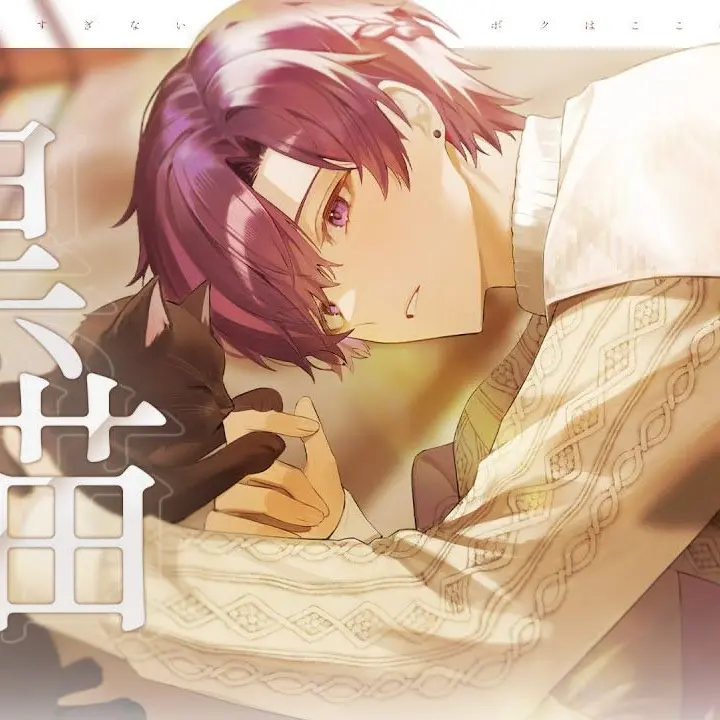 polarlu의 검은 고양이