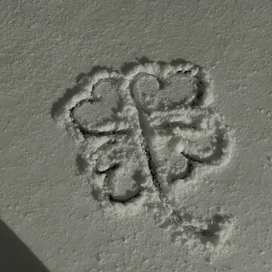 Profile image of 박성호