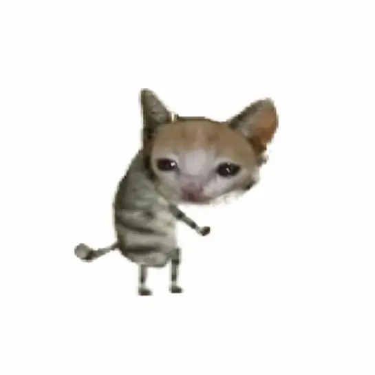XPP의 ???