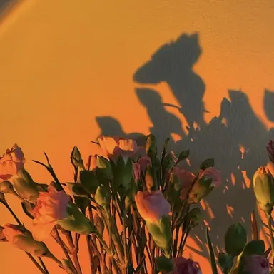 Profile image of 하루토