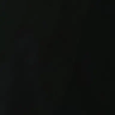 Profile image of 정아름