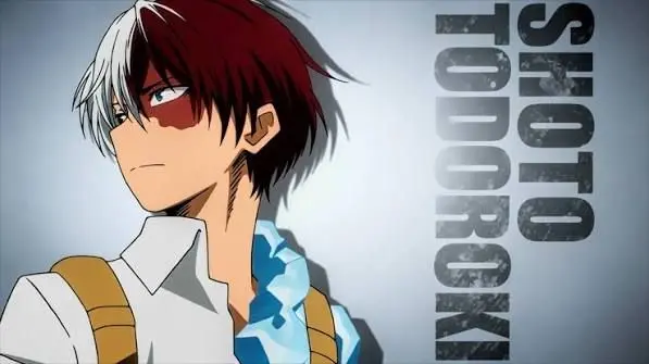 Profile image of Shoto Todoroki