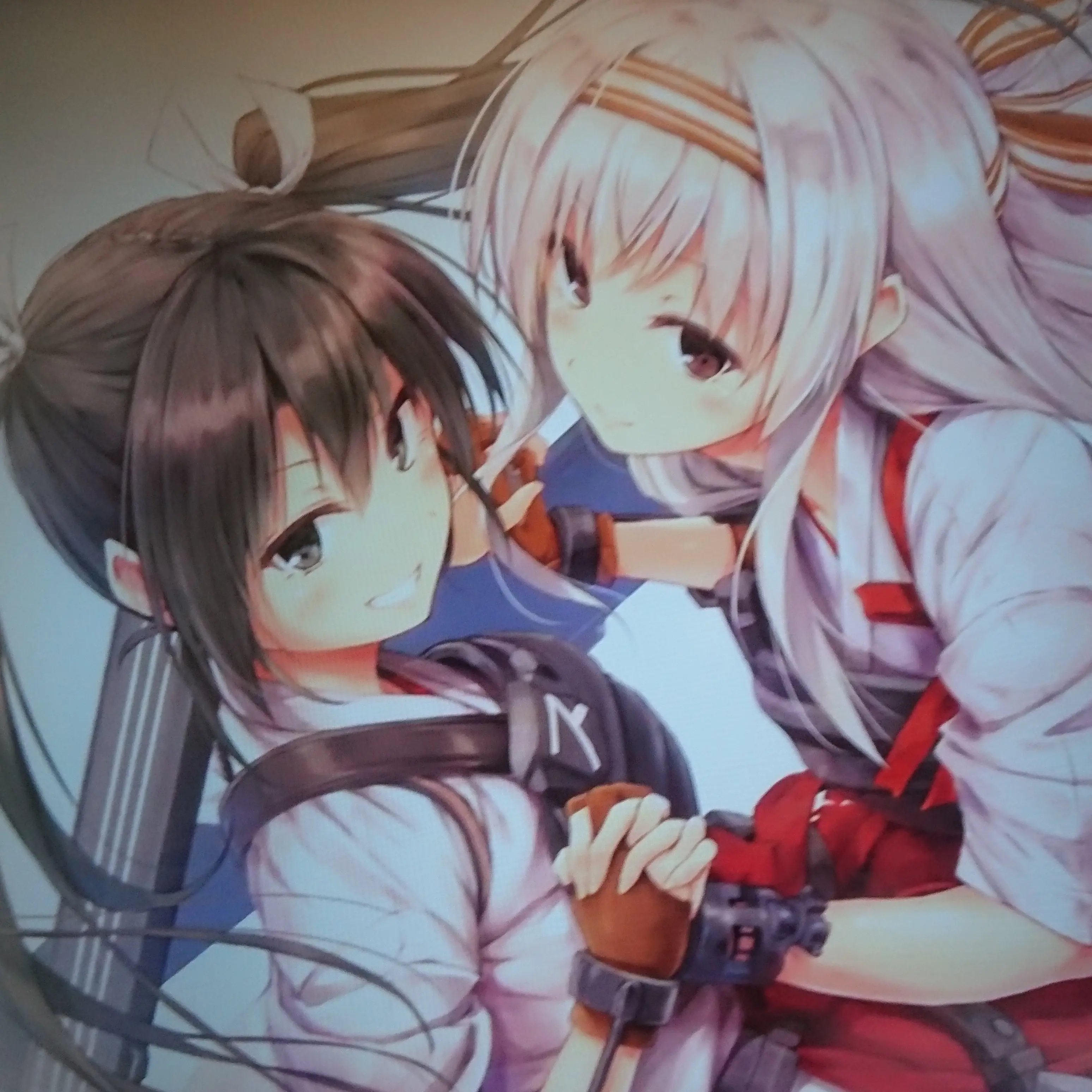 AwareTiger4874의 五航戦の翔鶴型姉妹