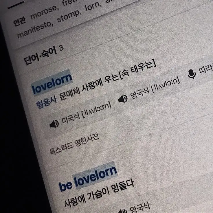 KnottyViper5959의 외사랑 상사병 아이돌