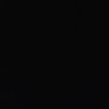 Profile image of 황현진