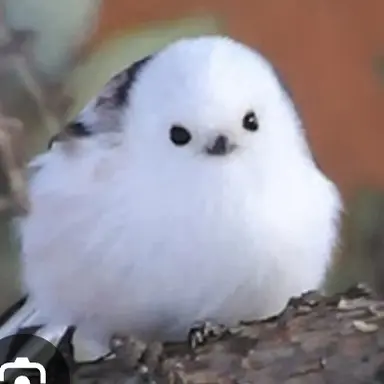 Profile image of 유니콘 대저택 여우