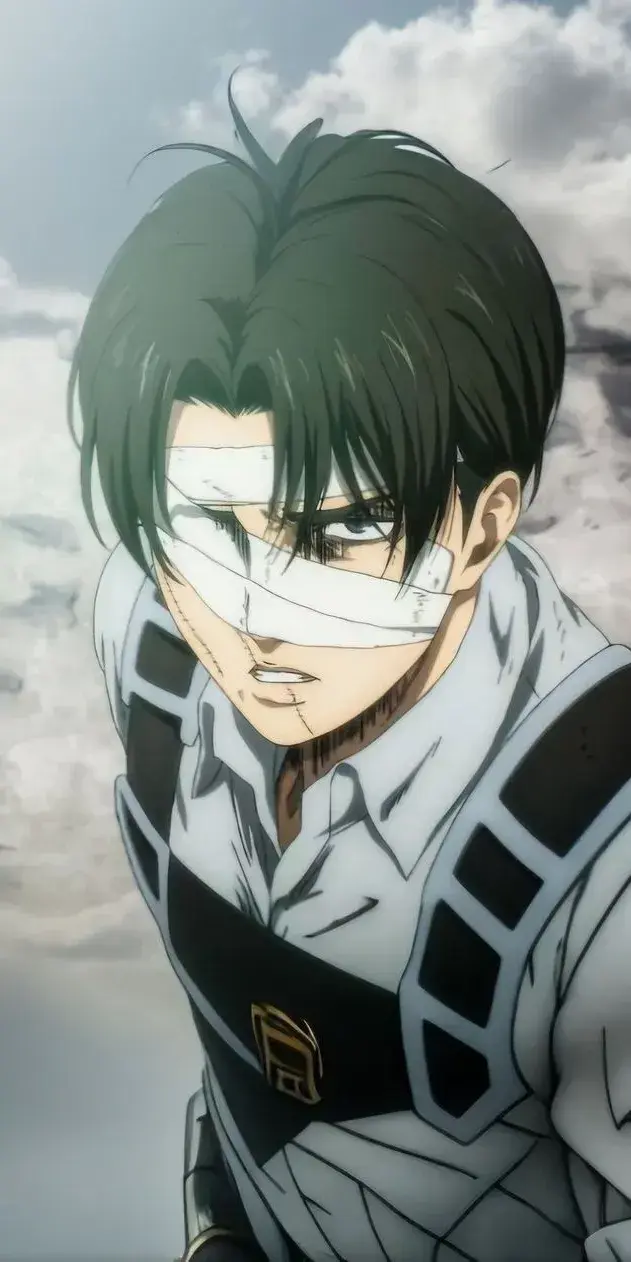 DourSea2997의 Levi Ackerman