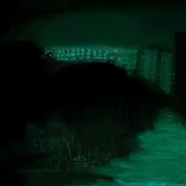 Profile image of 背の高い男性