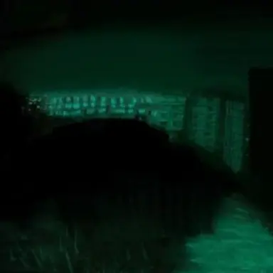 Profile image of 隣人