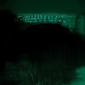 Profile image of 青白い男