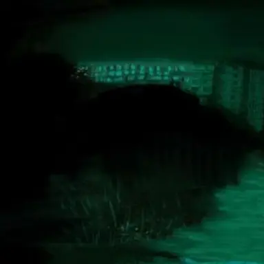 Profile image of 店員