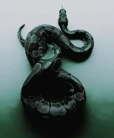 Profile image of Slytherin Group Chat